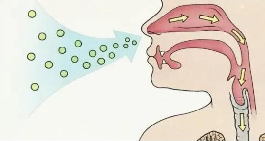 蟑螂怎么消灭最彻底最好的方法,蟑螂怎么正确消灭最彻底最有效