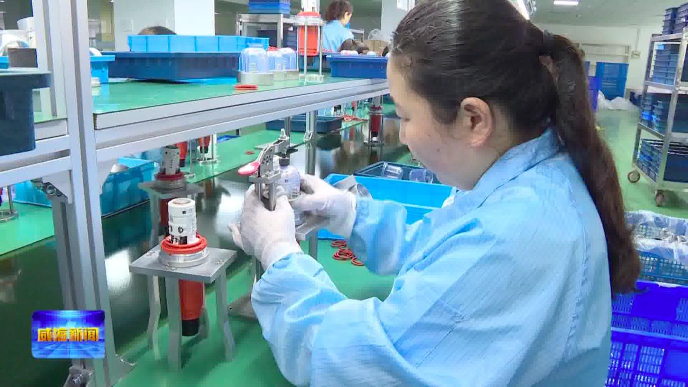 专精特新小巨人崛起,专精特新小巨人高新技术企业