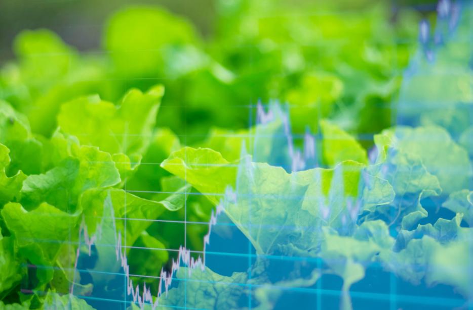 佳格天地农业大数据公司,佳格天地好吗