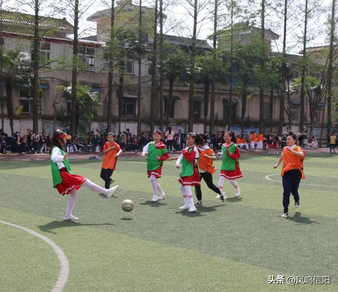 羊山新区第五小学冬季运动会直播,羊山新区第五小学怎么样