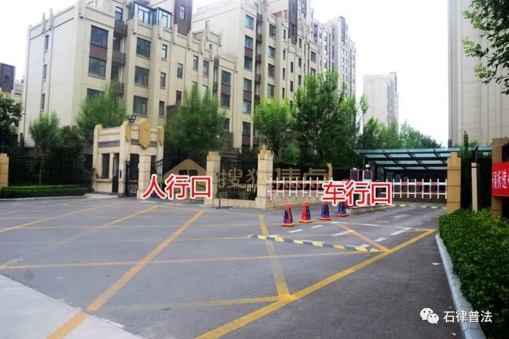 小区内撞伤狗怎么处理,小区内车子被撞伤谁负责