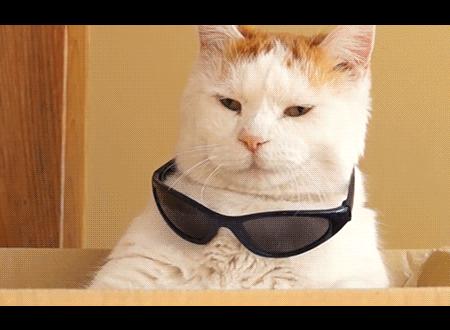 开车阳光刺眼看不见路怎么办,开车阳光太刺眼