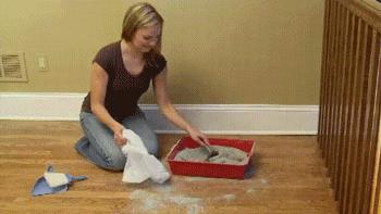 猫咪疯狂的吃猫砂,猫咪吃的猫砂是怎么做的