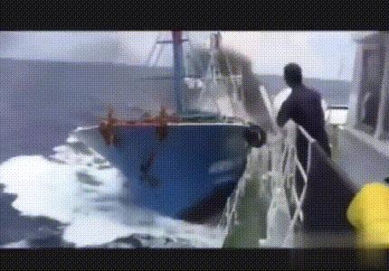 渔船撞渔政船,渔船撞渔政船事件