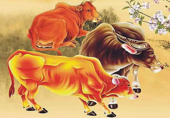 李居明2023年生肖牛运程粤语,生肖狗2023年的运势及运程