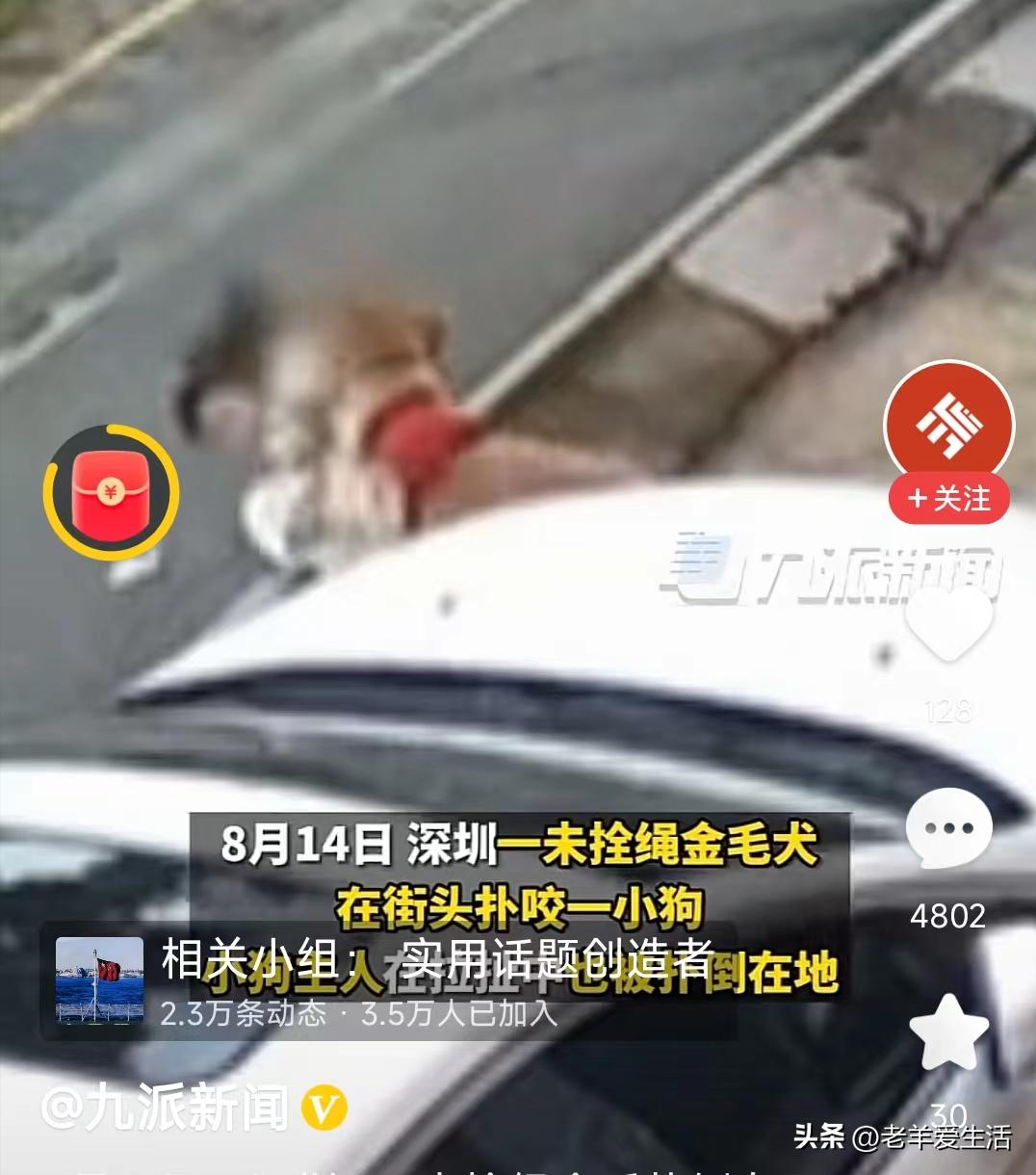 “金毛狗”扑倒深圳女孩后续，美国警察处置“疯狗”做法应学习