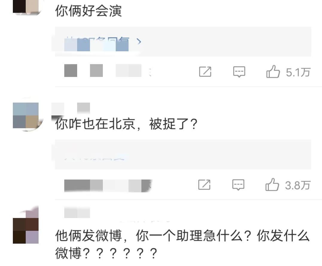 张丹峰洪欣风波后首次合体亮相,张丹峰洪欣各种晒娃引婚变猜想