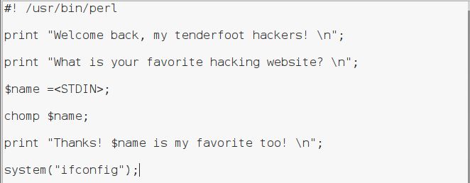 黑客最喜欢的编辑器,黑客最爱的编程语言