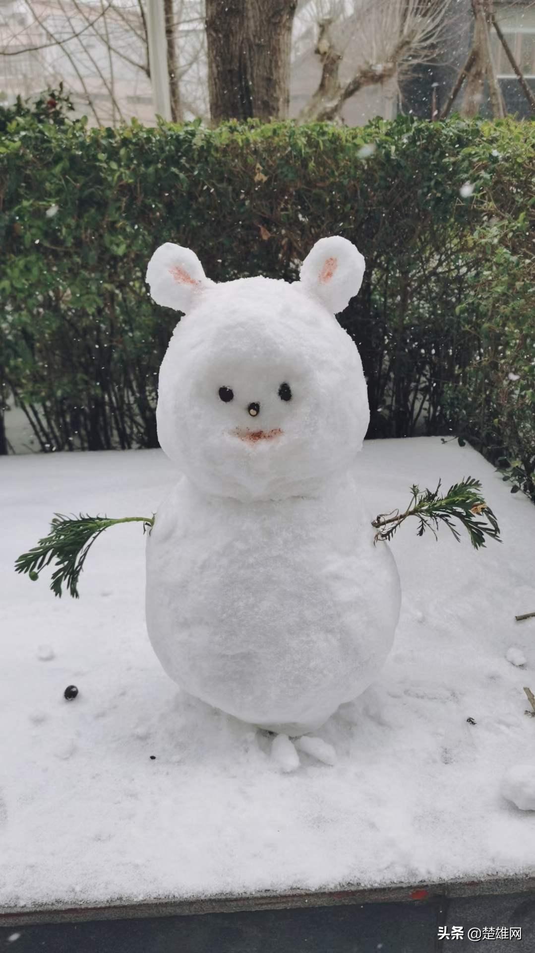 堆雪人大赛现场,楚雄花式雪人