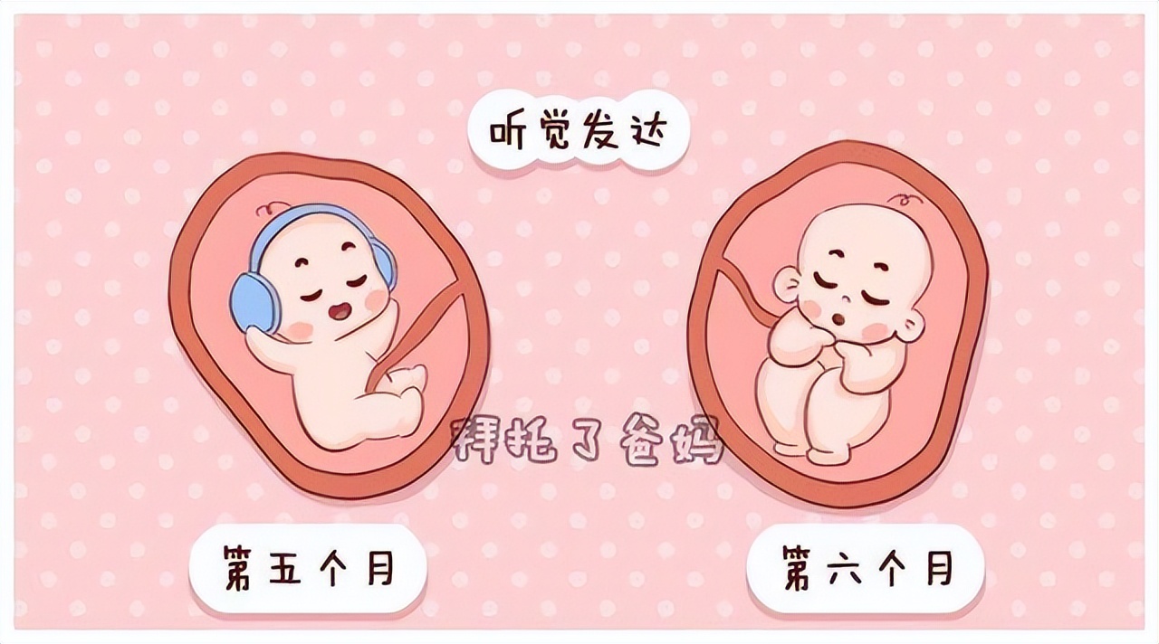 50岁以后女性要多吃这些菜,增加女性雌激素的碱性食物