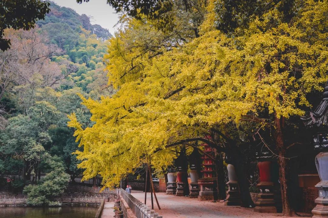 宁波周围旅游网红打卡地,宁波值得打卡的地方