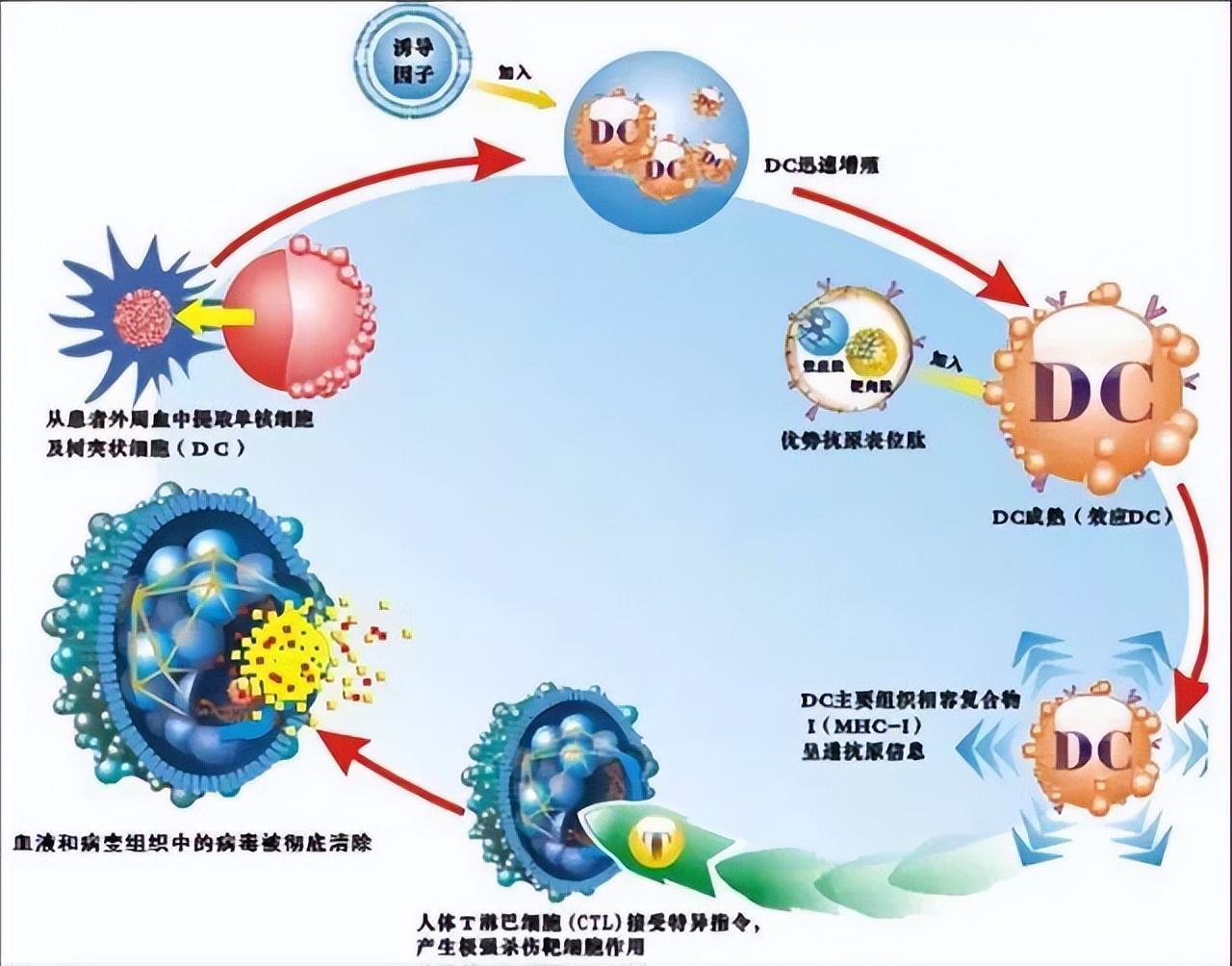 江苏安泰生物集团总裁赵猛：大健康引领大未来