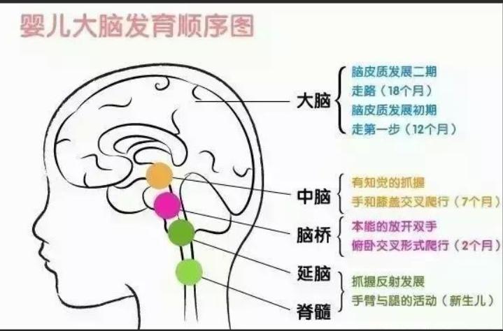 北童dha藻油到底好不好,北童dha藻油有哪些认证