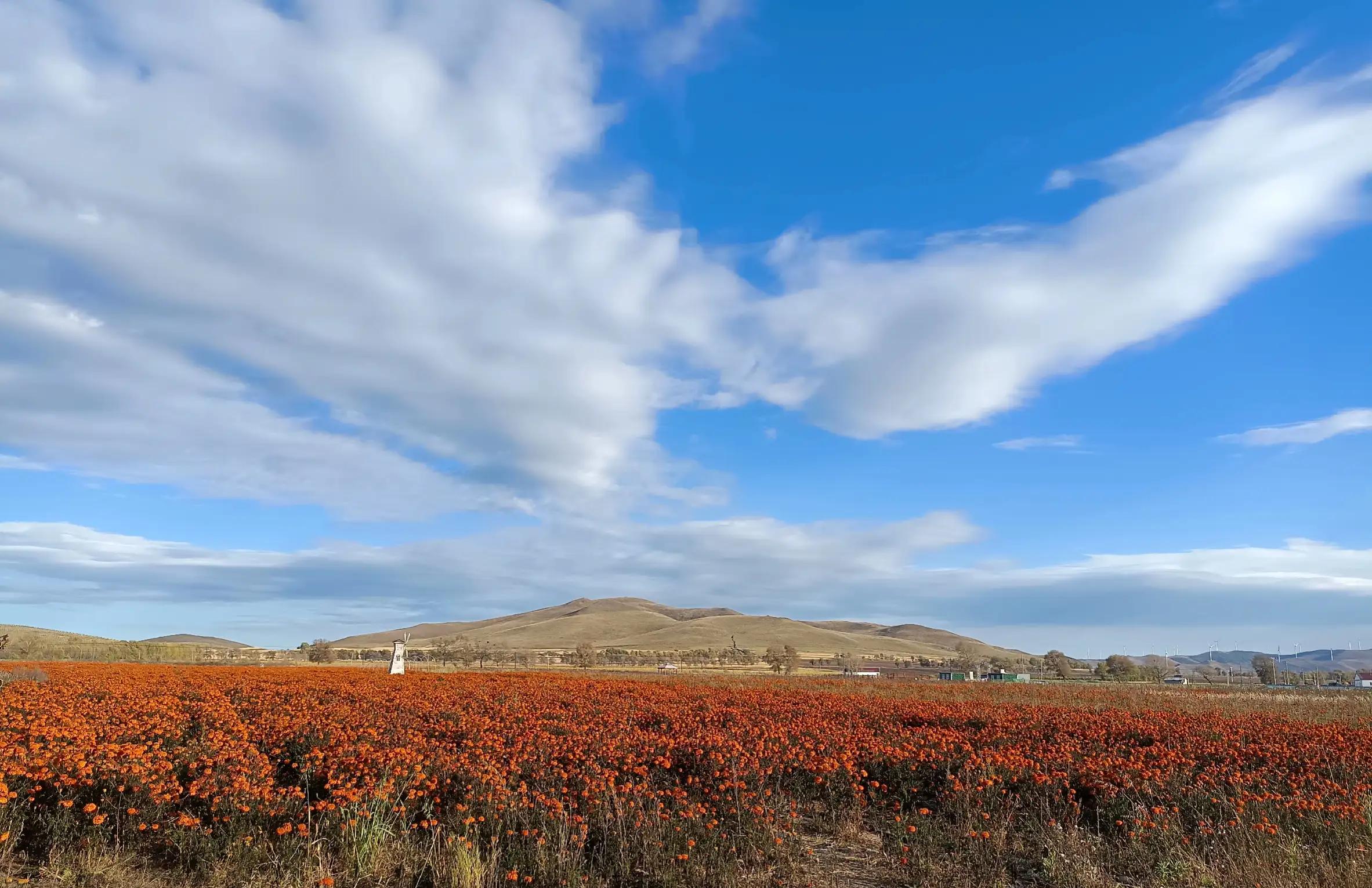 「大门口的老燕窝」（01）凡尘隐入白云间