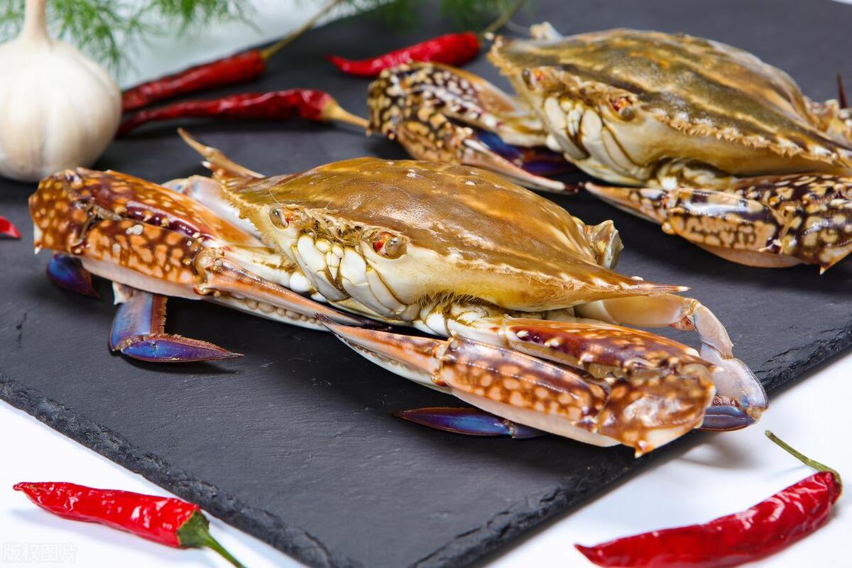 这十种螃蟹你吃过几种,比帝王蟹还要好吃的十种螃蟹