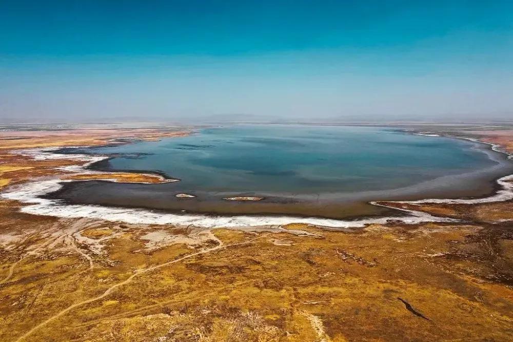 中国羊肉大全,全国各地顶级羊肉