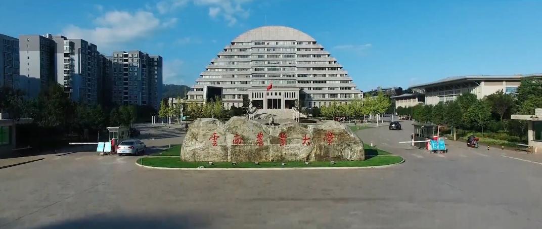 被吐槽为招生简章的同学后续,招生减章湖北大学生出手了