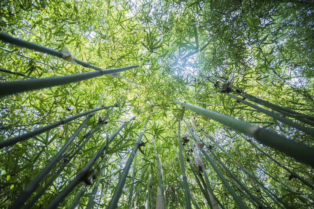 江苏宜兴悬崖酒店,宜兴市悬崖酒店