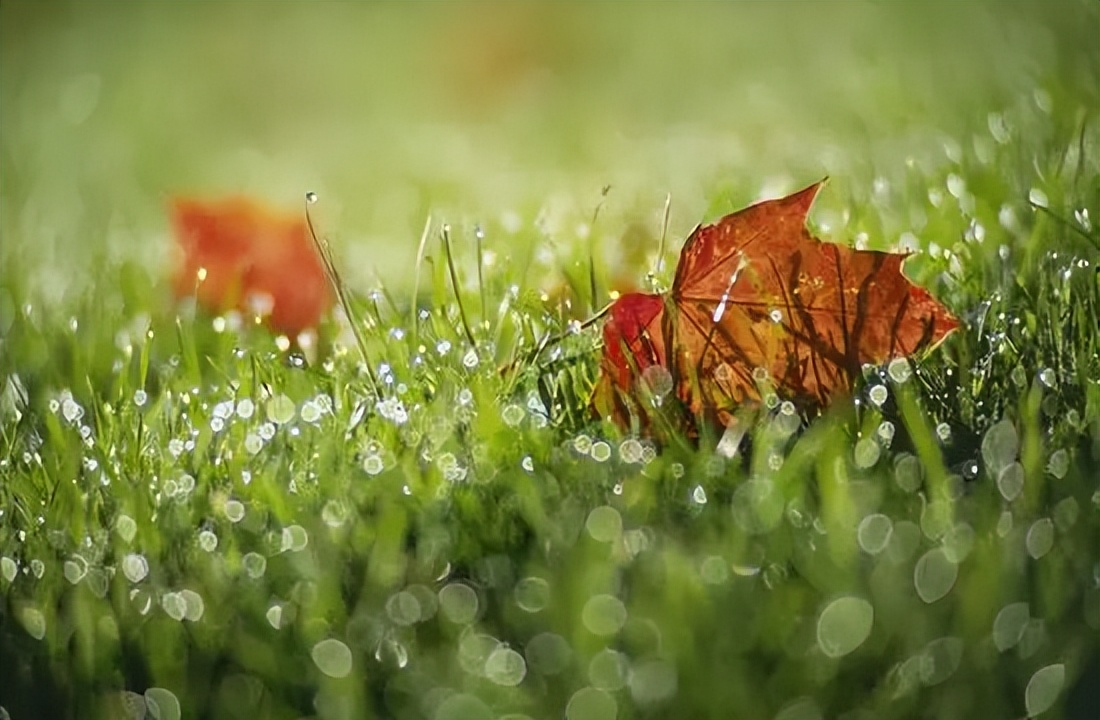 二十四节气之白露汉乐府,二十四节气之白露歌曲原唱