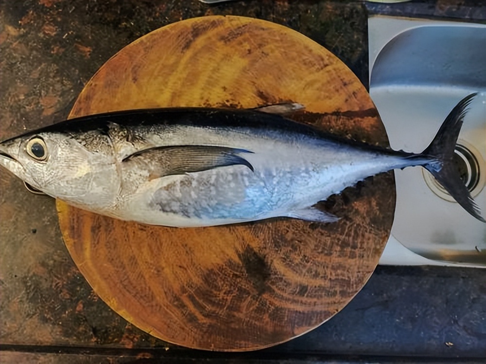 建议不要吃的鱼有重金属,禁止食用的八种鱼