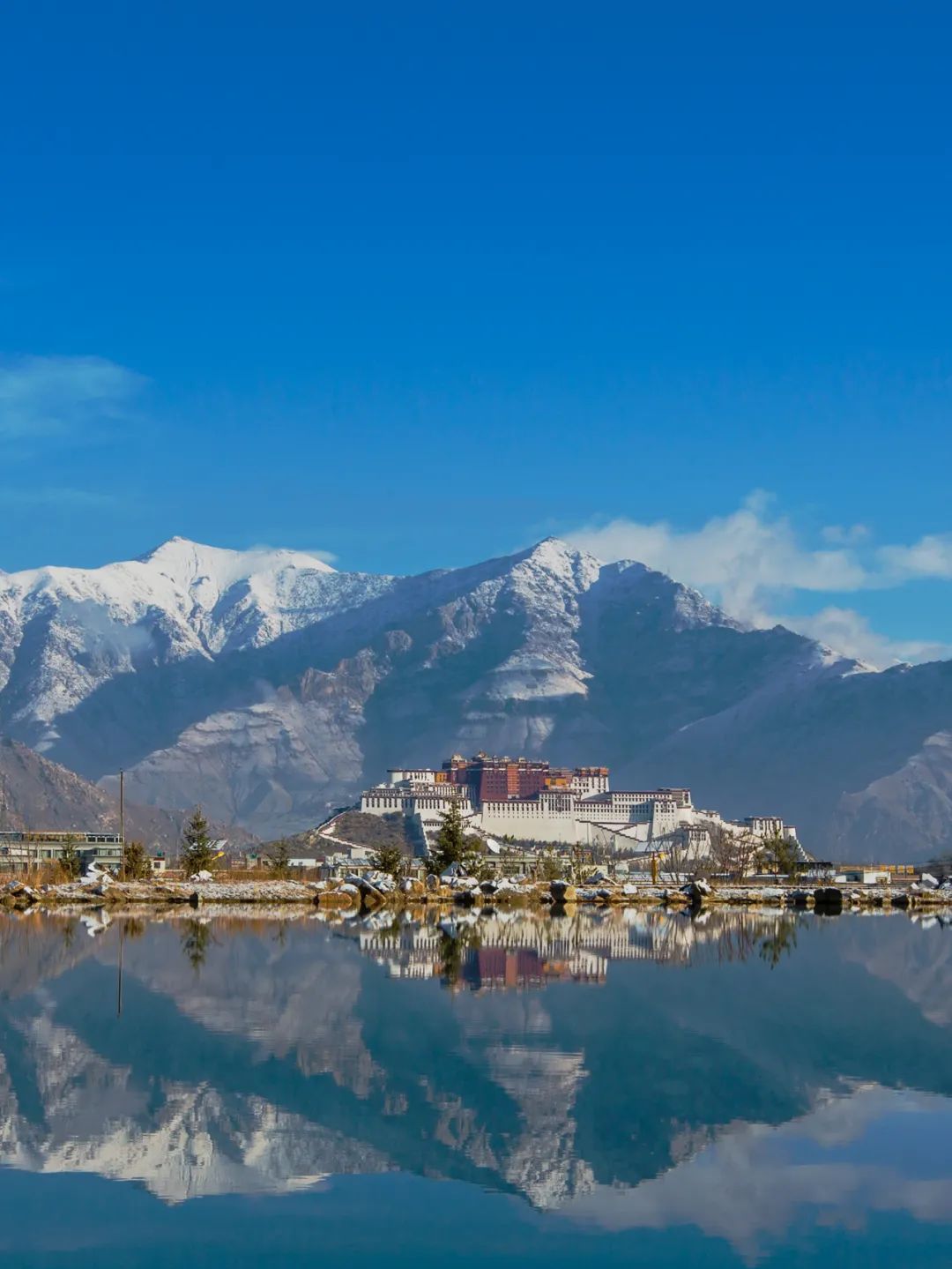 布达拉宫门票怎么网上预约,布达拉宫门票免票时间表