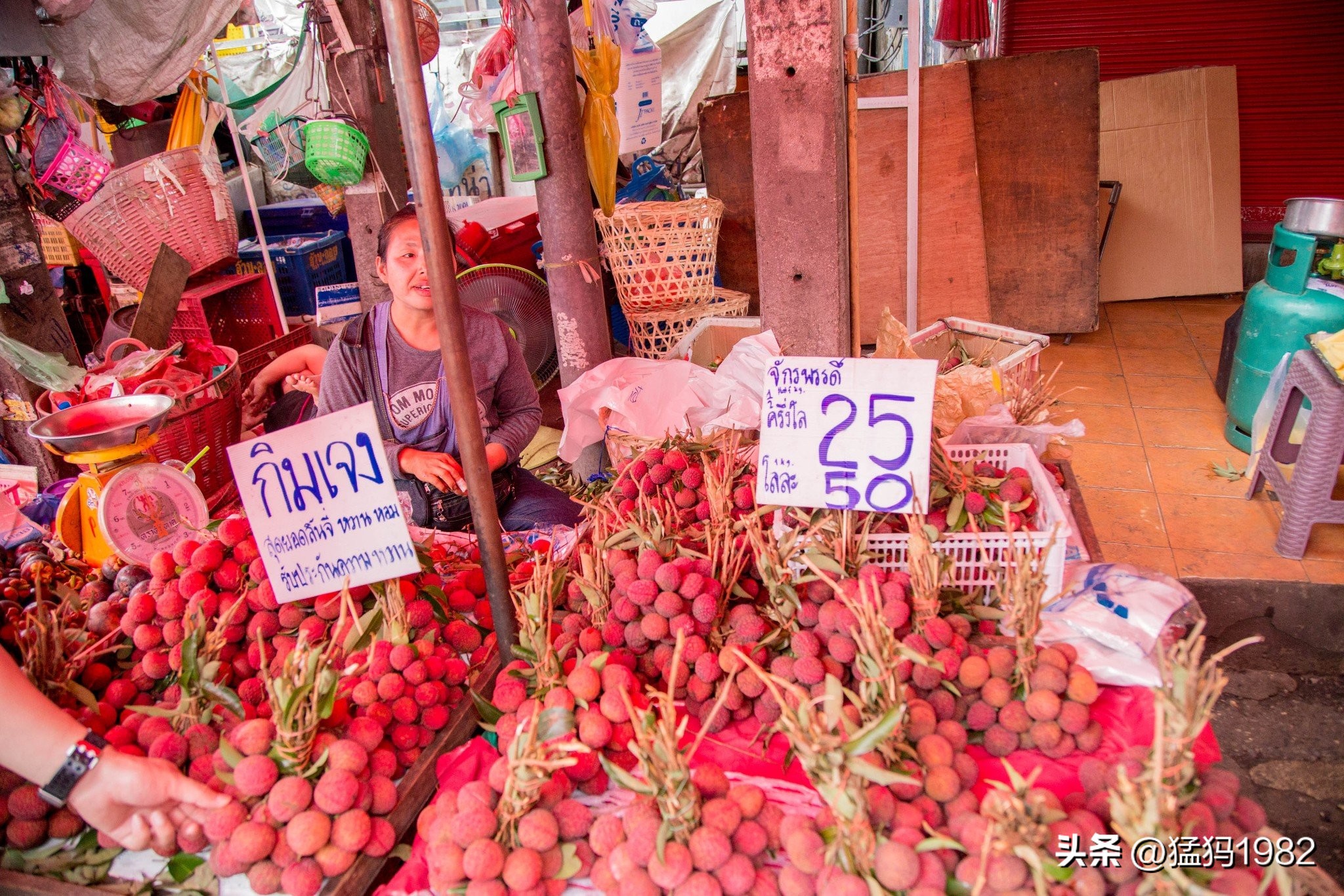 清迈吃饭有多便宜,清迈美食攻略及价格