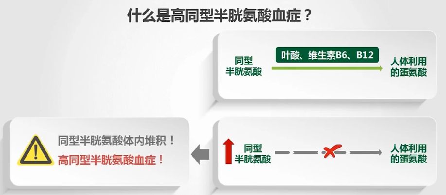 同型半胱氨酸14.8,是不是很高?如何才能降下来?