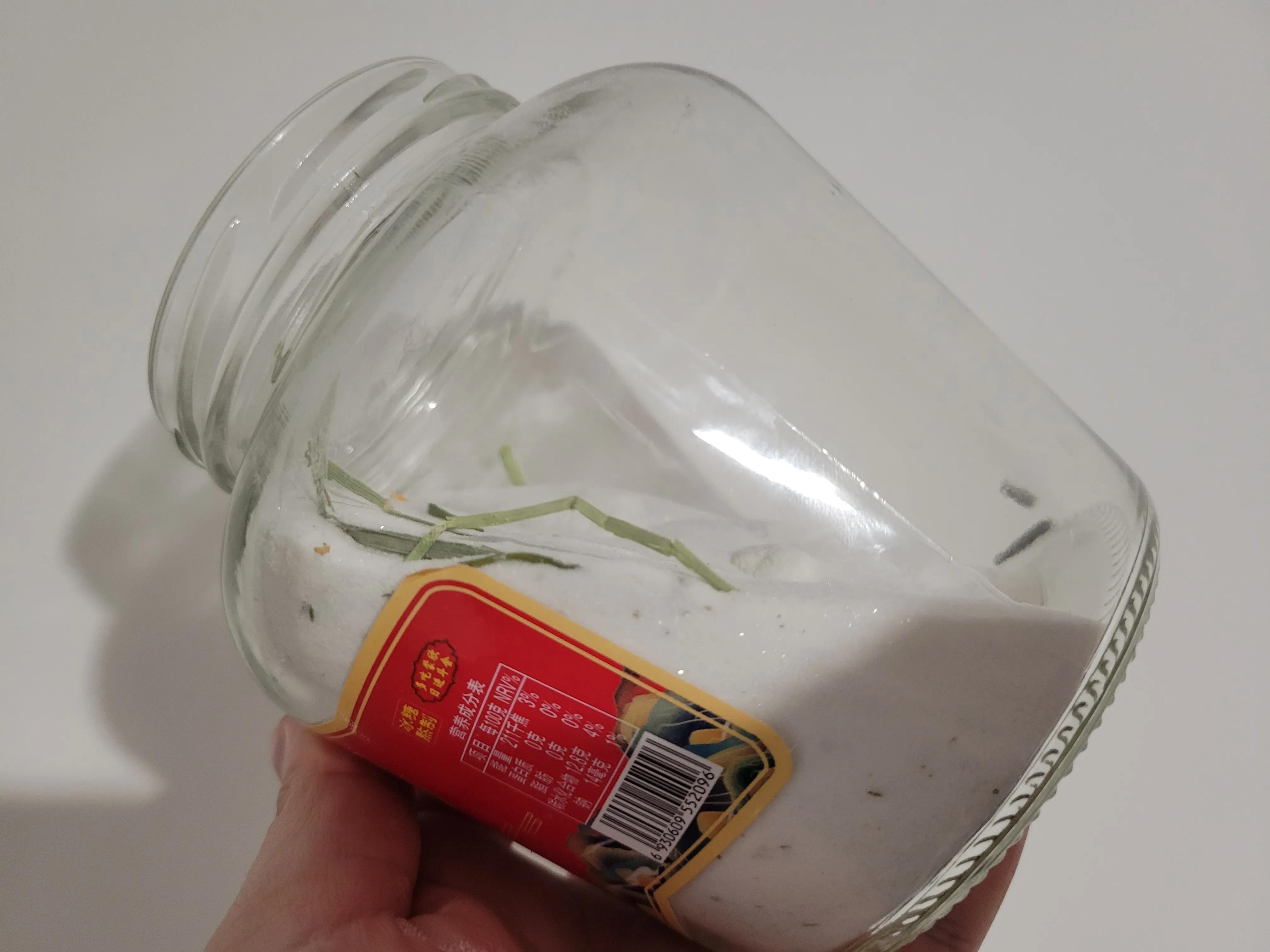 用罐头瓶可以给仓鼠做躲避屋吗,罐头瓶可以当仓鼠窝吗