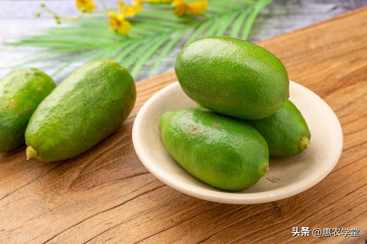 广东香水柠檬行情价是多少,广东香水柠檬价格最新报价表