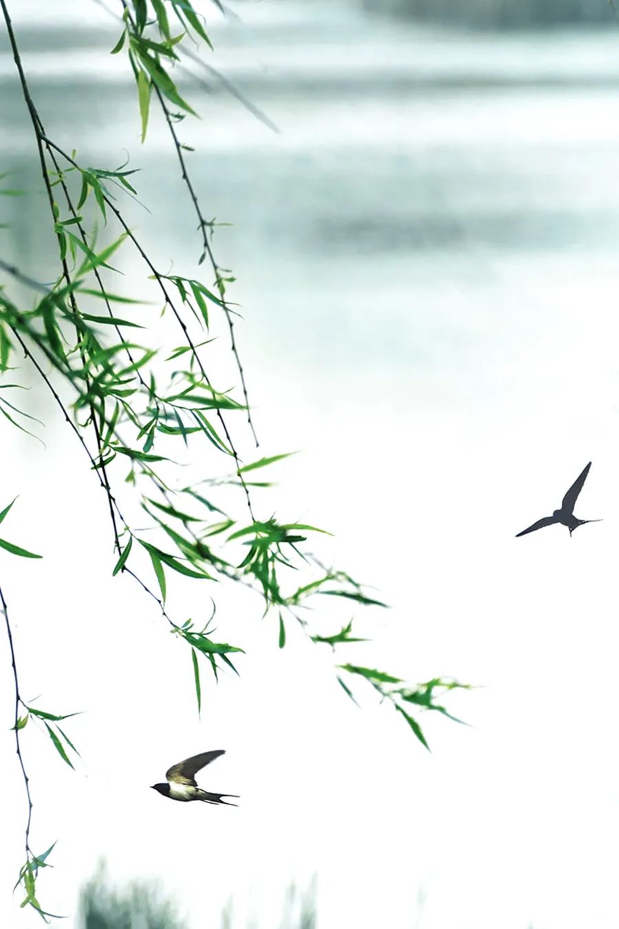 倾情荐读：时间的名字