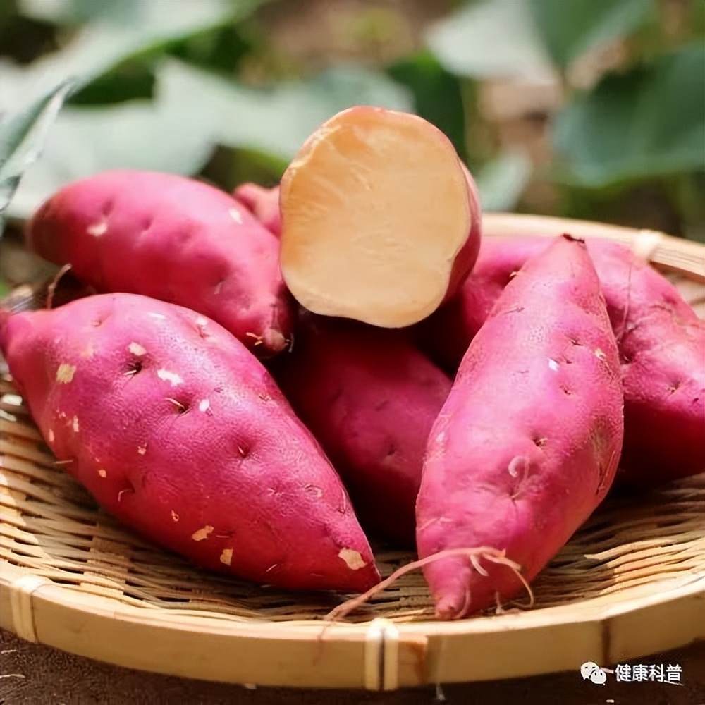 胃里积食口苦口臭,早晨口苦胃还积食