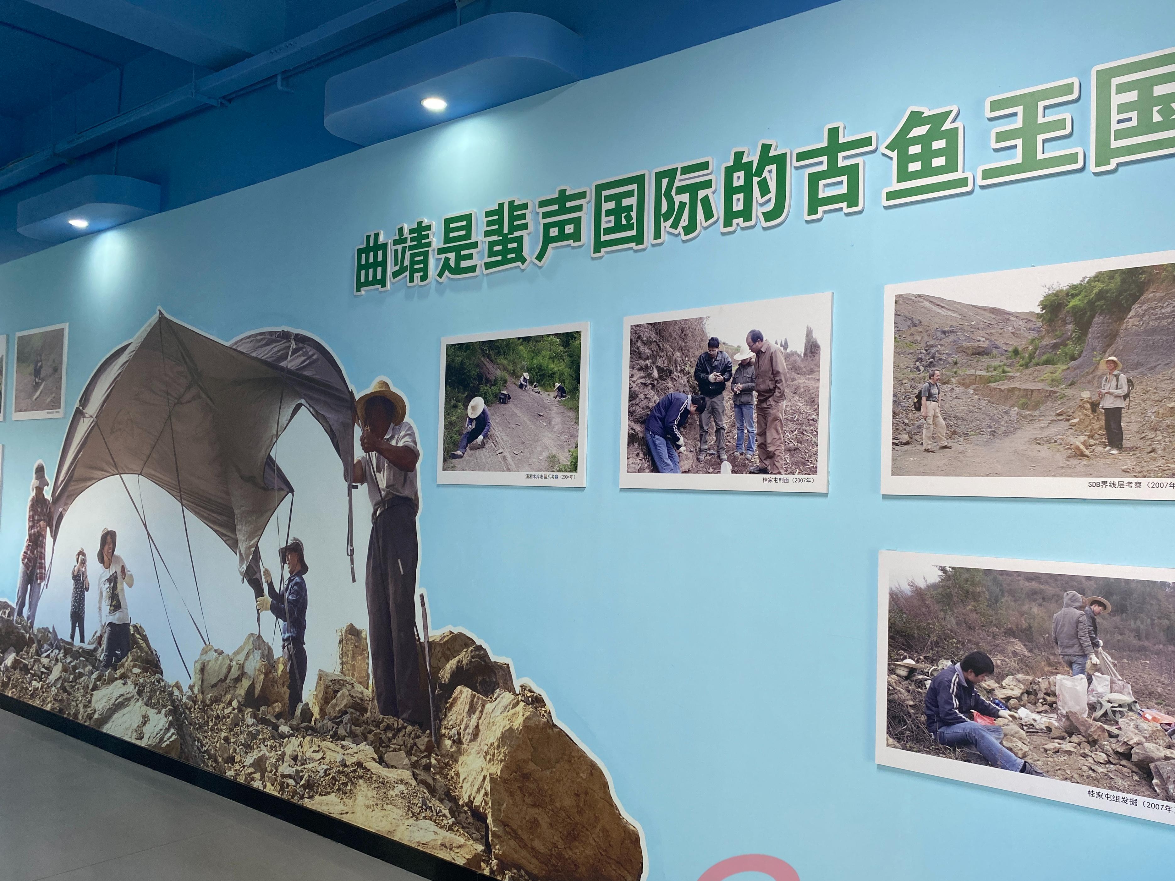 云南5亿年前鱼化石,中国远古鱼类化石