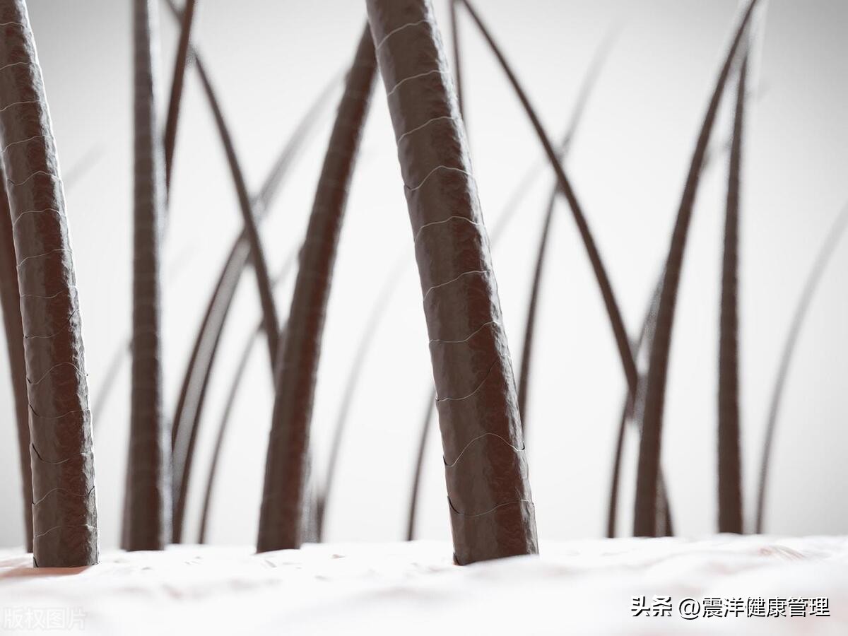 洗澡间潮湿有什么危害,洗澡时毛发脱落怎么办