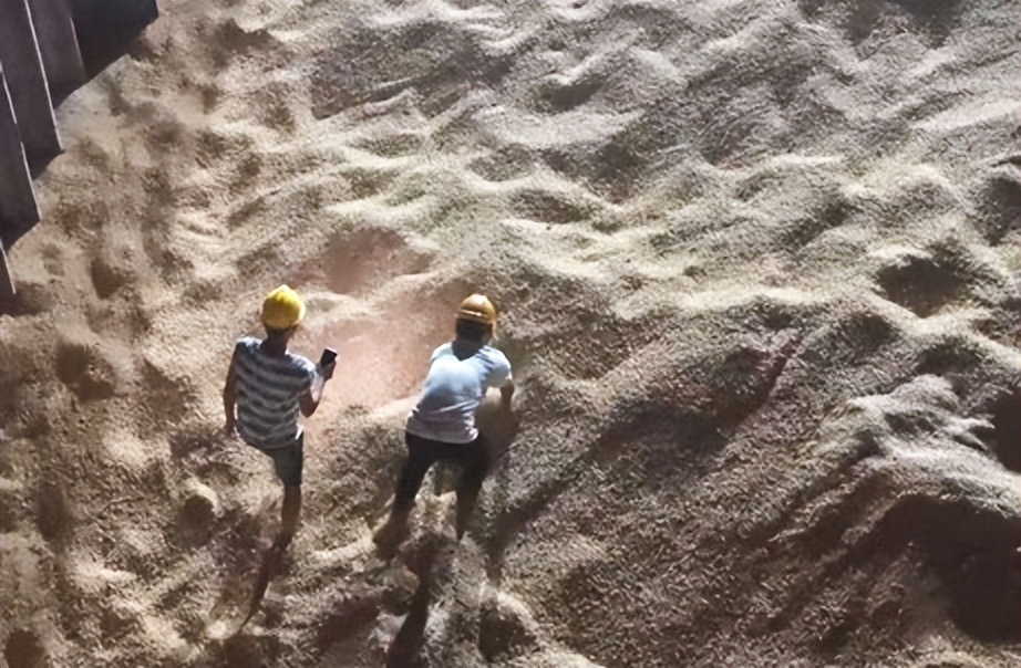 双胞胎集团几次重大转型,双胞胎集团今年目标