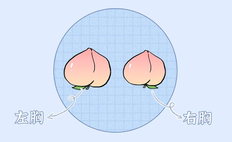 妇科常识知识大全图片,女生必须知道的7条妇科常识