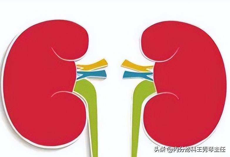 肾病治疗过程中，常用的药有哪些