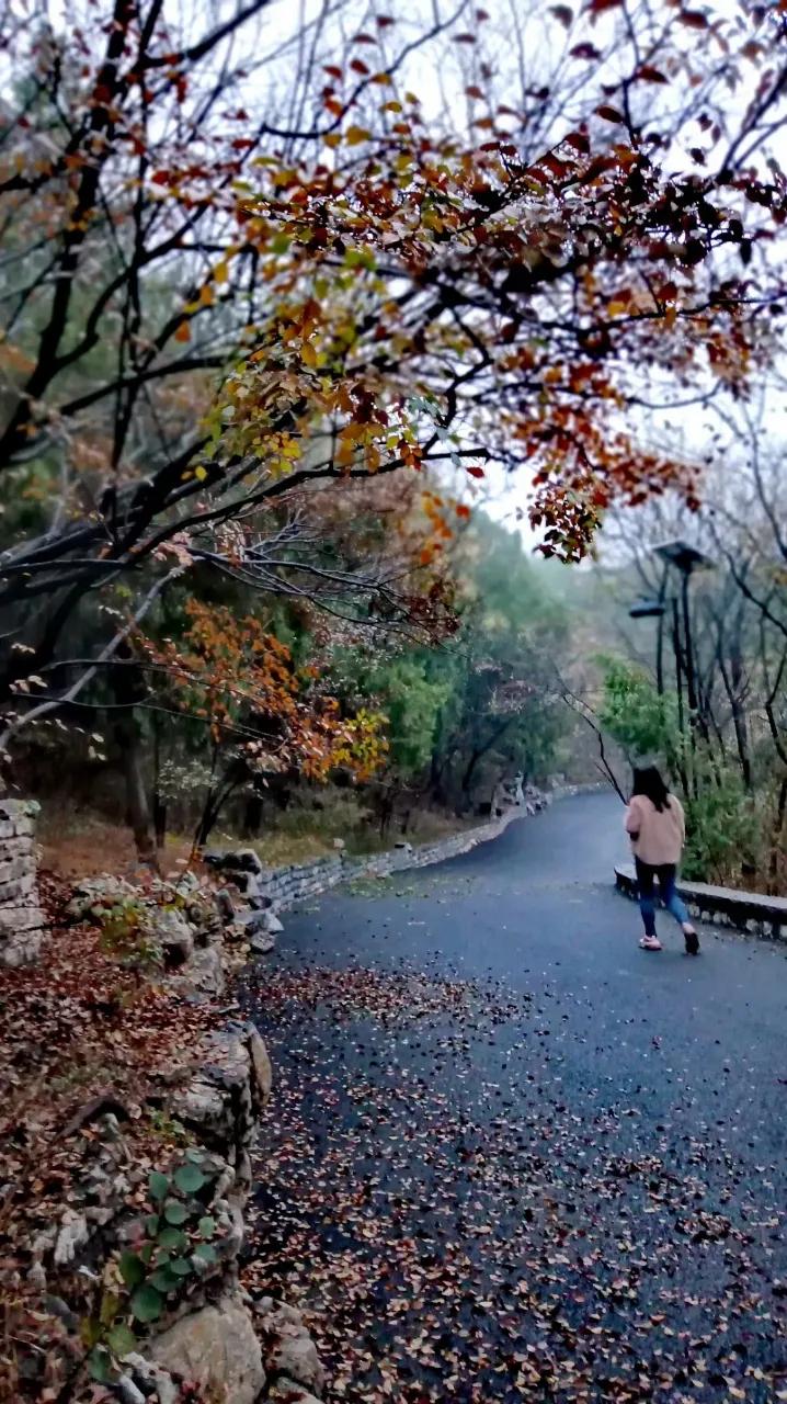 威龙酒窖和福临酒藏,福临酒藏