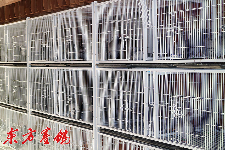 云南大理鑫翔公棚,大理宾川鑫翔公棚规程