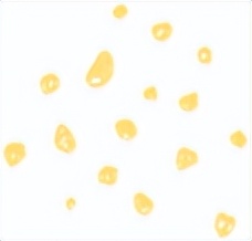 尚赫：听说，虫子的营养价值高？