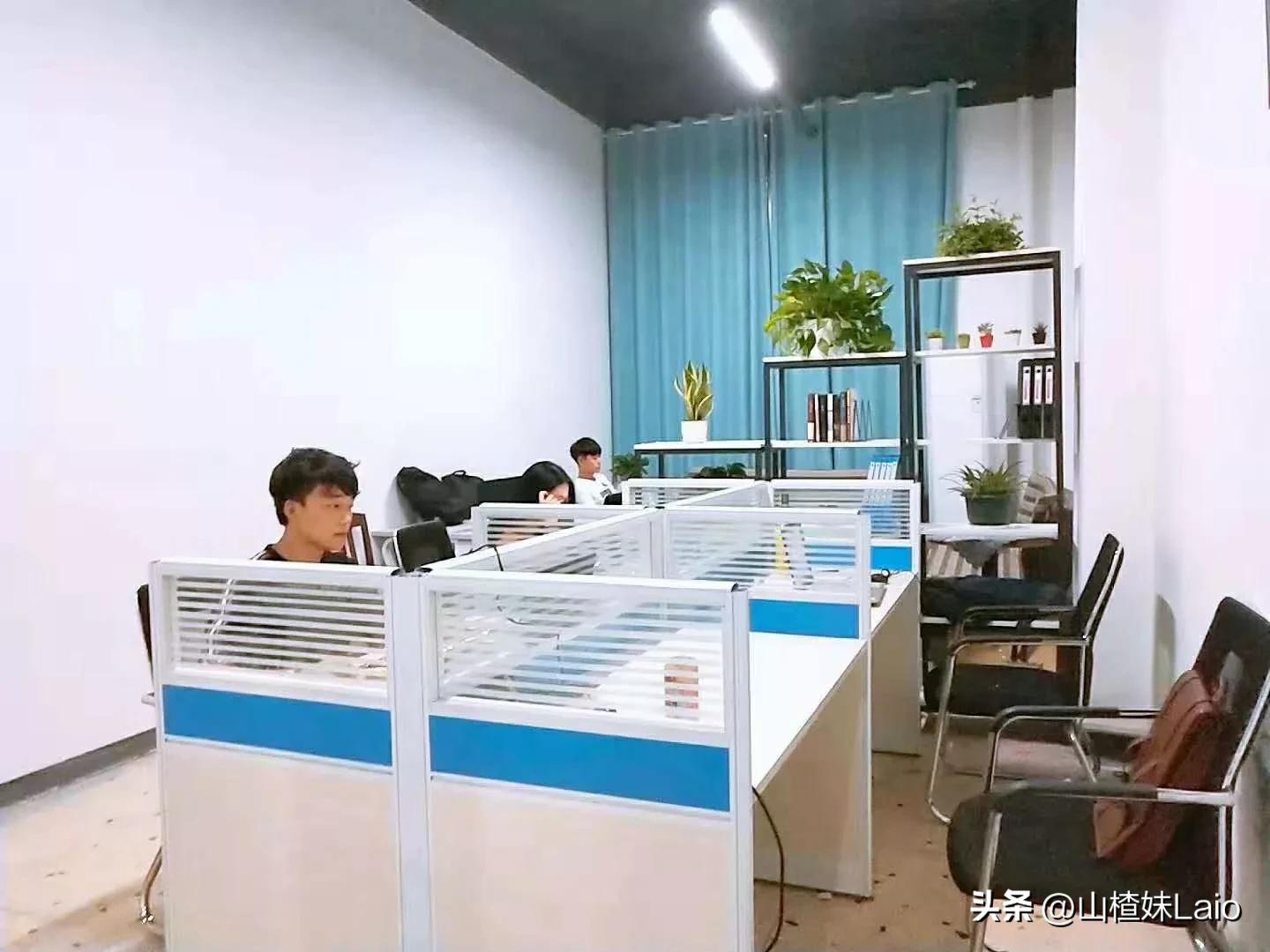 做了自媒体一个月后的悲哀,做自媒体一个月后的悲哀