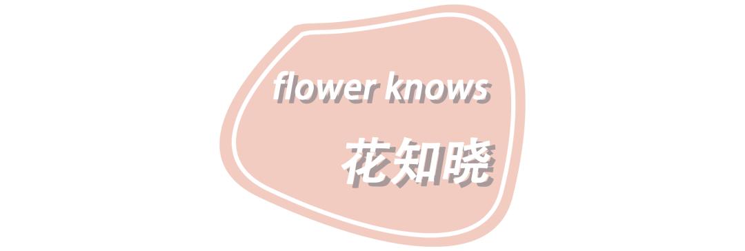 值得种草的口红推荐色号,偏粉一点的口红推荐大牌