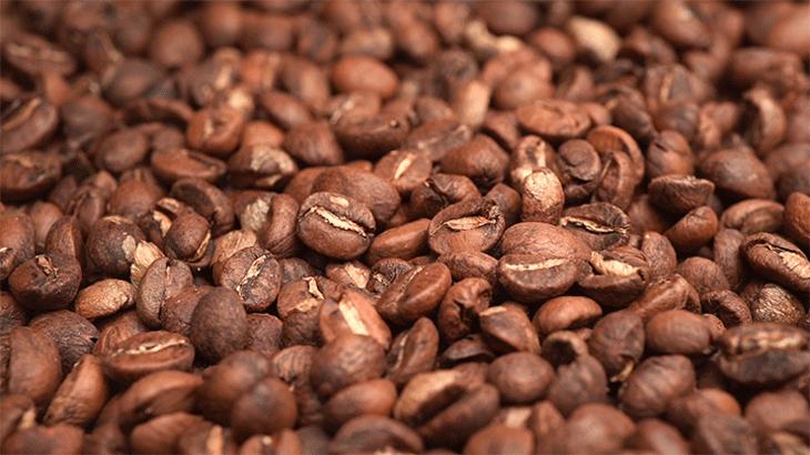 河马粪便致上万条鱼死亡,河马被粪便憋死