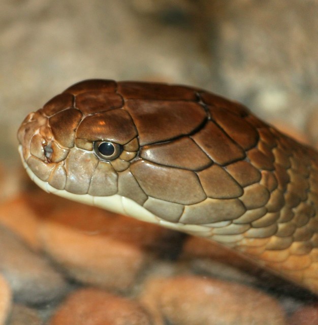 相信世界有鬼不相信男人的嘴,宁愿相信世界上有鬼