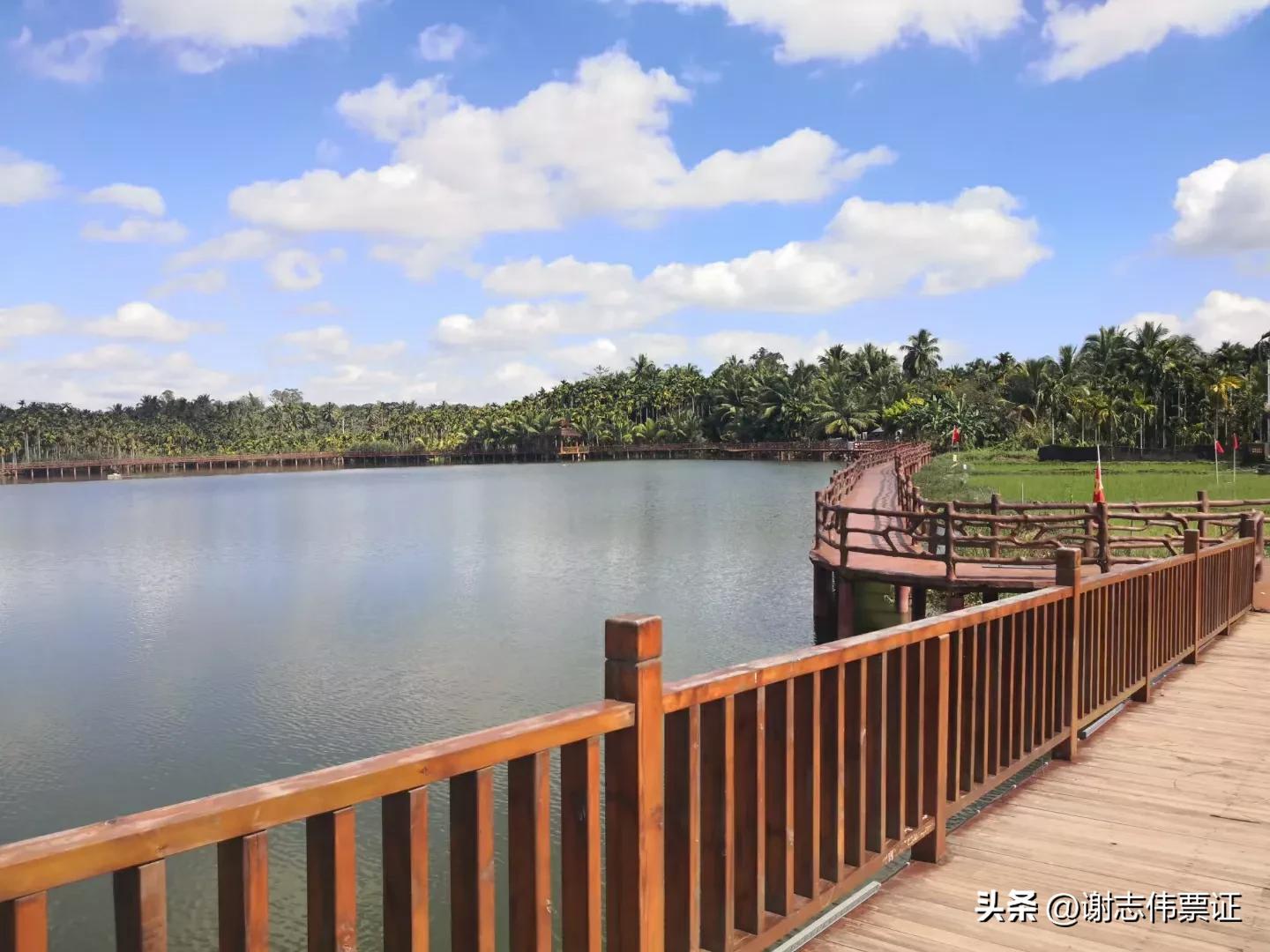 海南旅游起个时尚名字,带有海南特色的名字