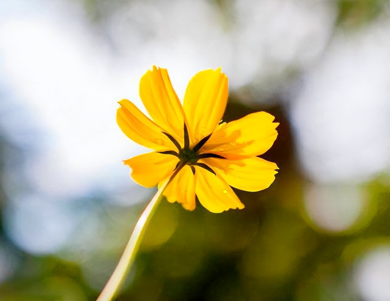 与人交往最怕遇到小人,远离不懂人情往来的人