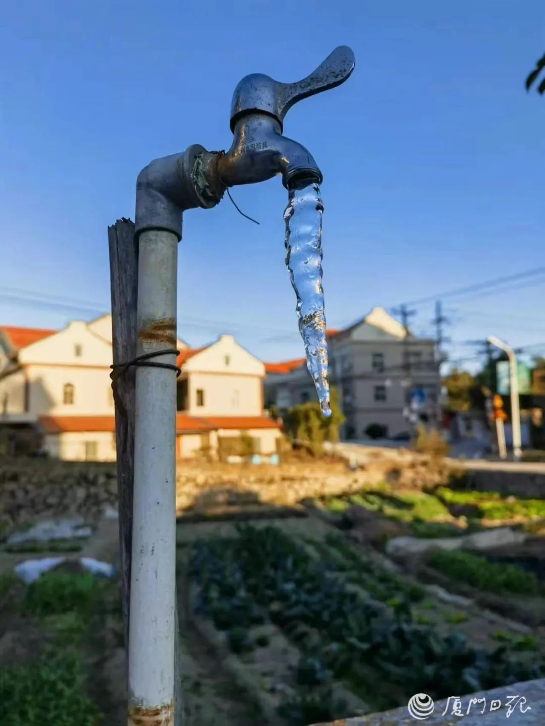 厦门全年气候温度表格,厦门全年湿度一览表