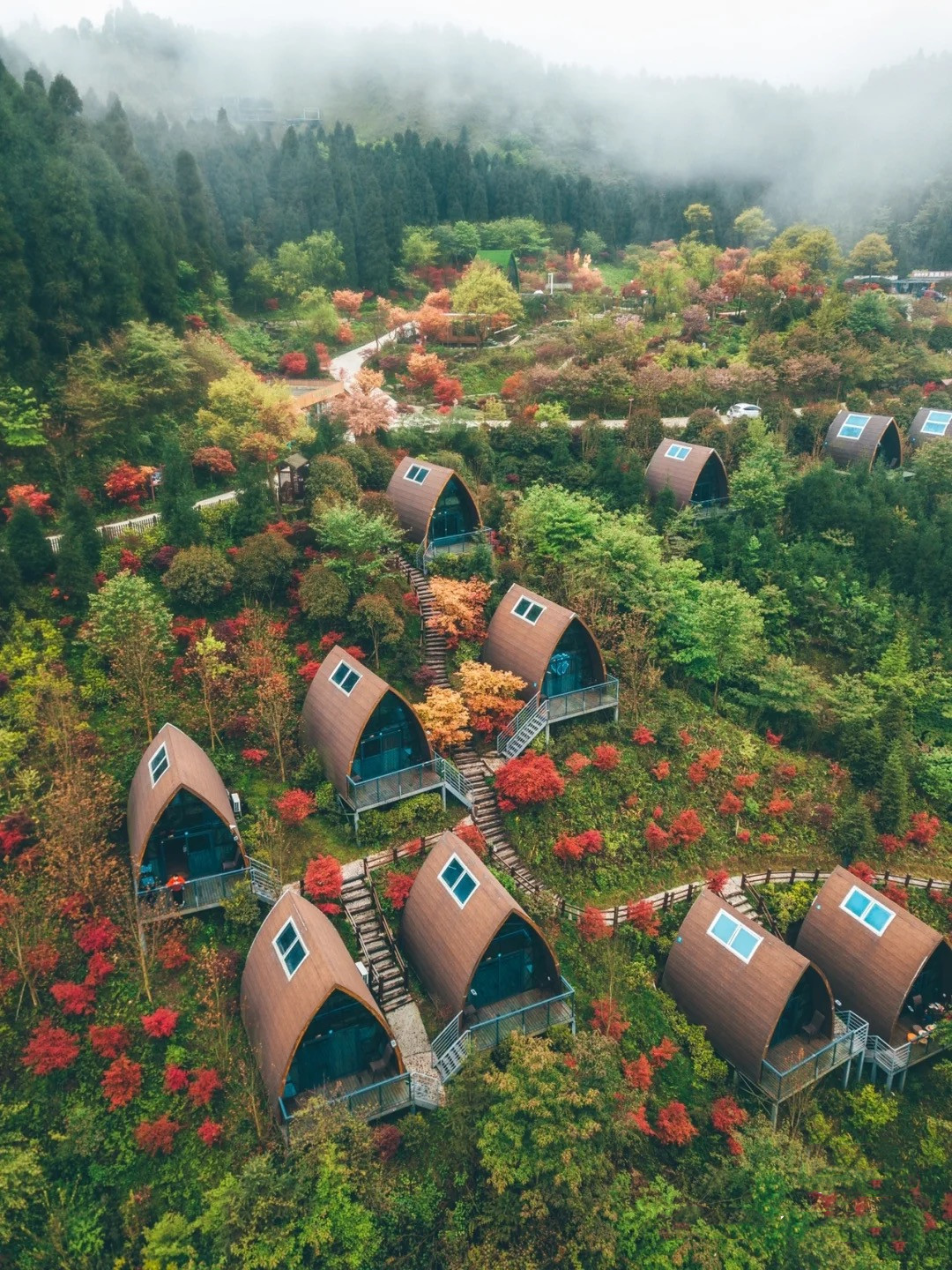 成都玫瑰花溪谷旅游攻略,成都玫瑰谷游玩攻略