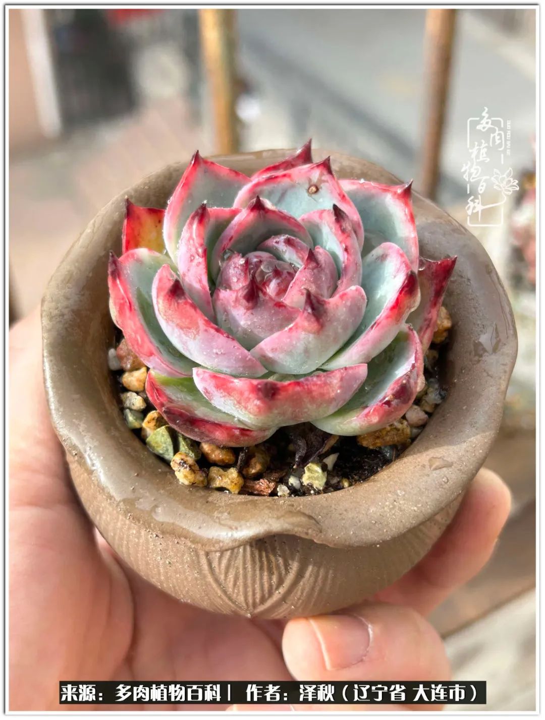 四季轮回之秋天,四季轮回之冬季