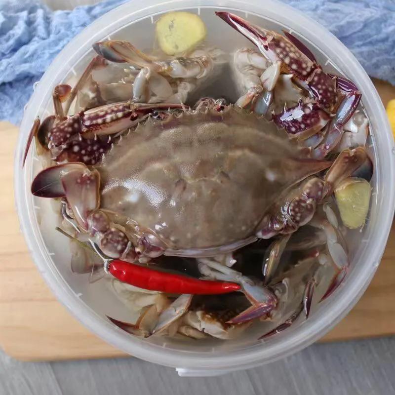 【田齐情怀】《咸螃蟹》