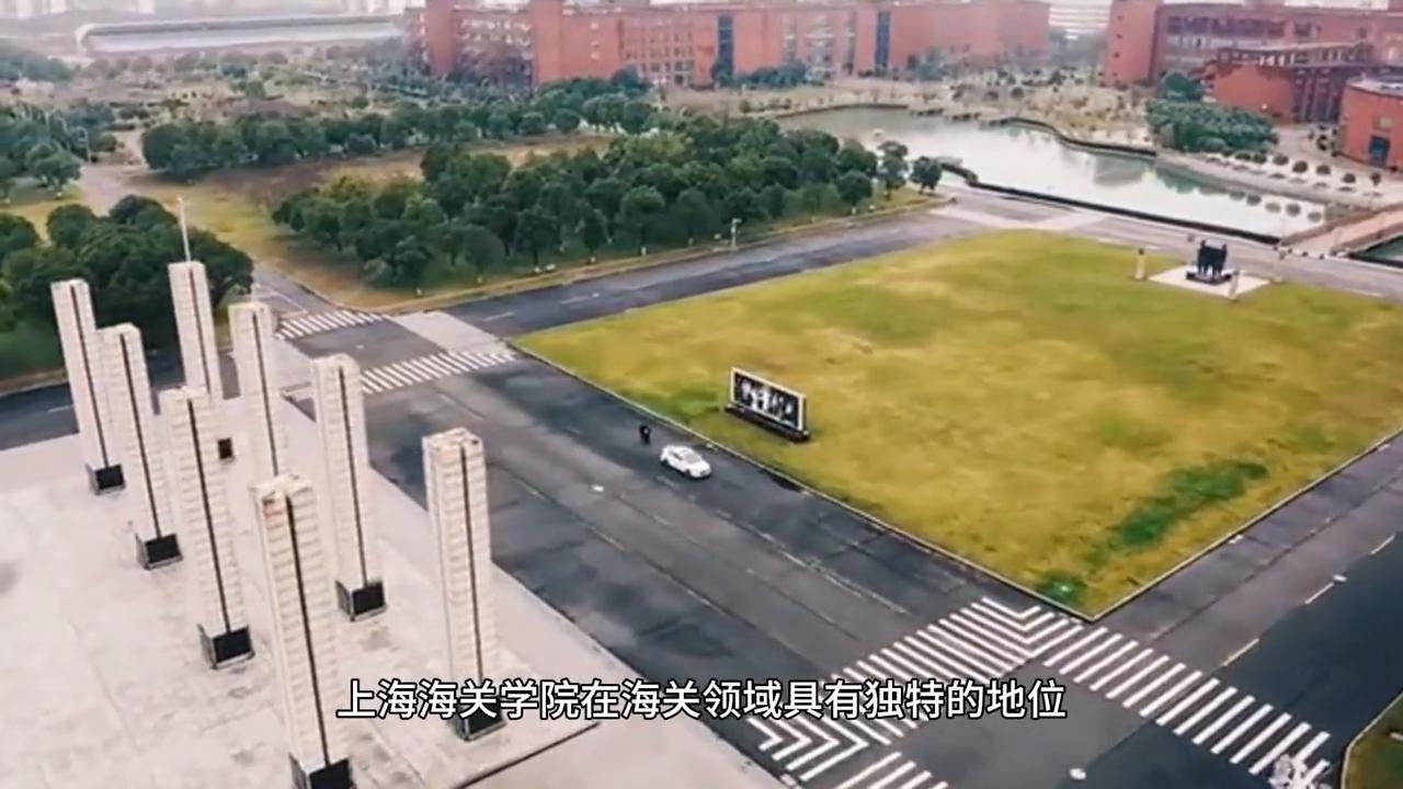 海关类专业有哪些,为什么海关法学找的少呢